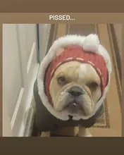 Pet-Hats Dog-Cap Dog-Accessories French Bulldog Small-Dogs Christmas Ball-Headwear Winter