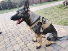 Vest Dog-Harness German-Shepherd Dogs Pet-Military-Training Molle Tactical Medium 