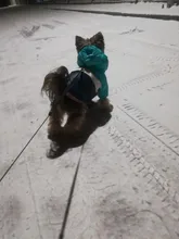 Outfit Jacket Hoodie Dog Warm Waterproof Winter Coat Splice Pet-Puppy 6-Colours 8-Sizes