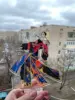 Изображение товара 1