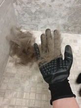 Gato de masaje de piel de caballo y perro, limpieza de baños, depilación flotante, guantes, herramienta de Limpieza del cabello, nuevos productos