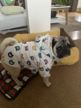 Clothing Bulldog-Clothes Corgi Raincoat Poodle Pug Bichon French Waterproof for Schnauzer