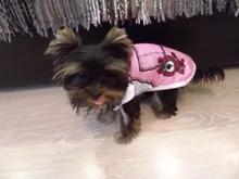 Shirt Costume Dog-Vest Puppy Dogs Chihuahua Summer Cheap for Cat Clothing-For-Dogs Samll