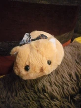 Estuche de lápices kawaii para niñas, estuche escolar de felpa con diseño de gato, de lona, estuche escolar para lápices