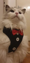 Elegante pajarita arnés tipo chaleco para perro con correa ajustable, Gato conjunto de Correa y arnés lindo arco nudo esmoquin para gatos gatito cachorro