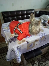 Hoodies Coat Clothing Puppy-Outfit Pet-Dog-Jacket HOOPET Dogs Chihuahua Winter Warm 