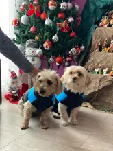 Coat Jacket Puppy-Vest Dogs Waterproof Winter Medium Pet-Dog Zipper Small Large Warm