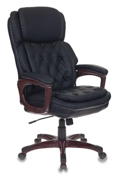 

Executive Chair bureaucrat t-9918/black