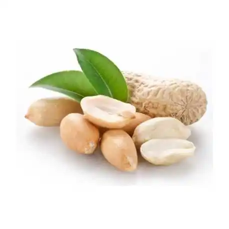 Peeled peanuts afbeelding
