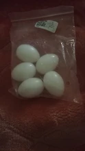 5pcs/lot Pigeon False Eggs Filled Plastic Simulation For Hatch Breeding Supplies
