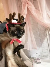 Pet Dog Cat Costume Christmas Antlers Hat Cloak Halloween Disguise Clothes For Cats Small