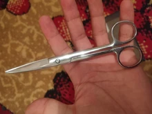 Farming-Tools Scissors Veterinary Medical Animal Straight 10cm 14cm 16cm Curved-Tip Stainless-Steel