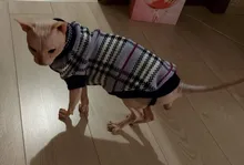 Cute Cat Sweater Costume Winter Warm Pet Clothes Cat Clothing for Cats Katten Kedi Giyim