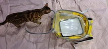 Bolsa de transporte portátil para perros y gatos, cápsula espacial transpirable, bolsa de viaje para astronauta, mochila transparente para mascotas pequeñas para exteriores