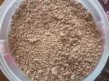 Zapatillas de plataforma para mujer, zapatos femeninos de diseño, para primavera, 2021