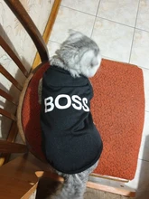 Puppy Shirt Teacup Dog-Vest Yorkie-Bulldog Dogs Pawstrip Summer Pet Small for Teddy