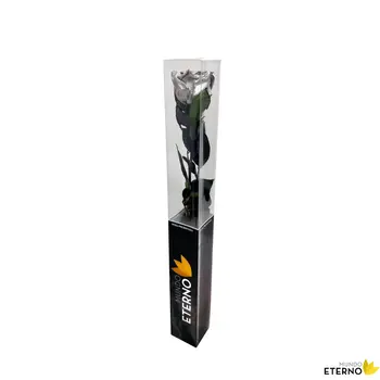 

Mundo eternal Rosa Eterna preserved 55cm silver