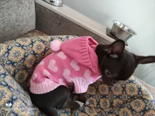 Dog-Sweater Puppy Jumperpet Dogs Medium Warm Cat for Small Jacket Hoodie Hearts