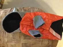 Hoodies Jacket Puppy French-Bulldog Small Dogs Waterproof Dog Chihuahua Winter Autumn