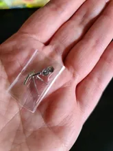 Pendientes de plata de ley 925 con forma de rayo para mujer, joyería Simple, accesorios