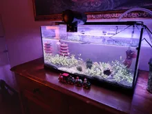 Led-Lighting-Lamp Dimmer Timer Fish-Tank-Light Aquarium Planted NICREW for 32-74cm 110V-240V