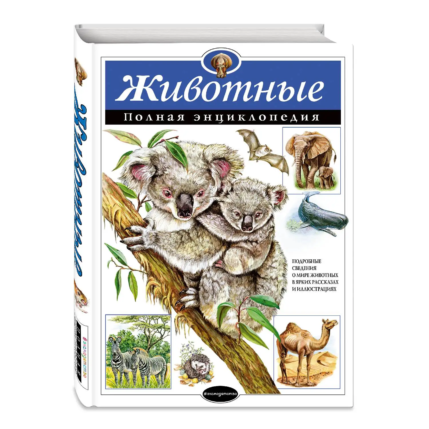 Животные. Полная энциклопедия(Ю.К. Школьник, 978-5-699-83000-8, 256 стр., 6