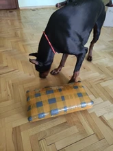 Espuma acústica de estudio insonorizada, Panel de tratamiento de absorción de sonido, esponja protectora de cuña de sonido, 50x50x5cm, 6 uds.