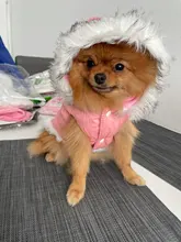 Dog Cat Winter Warm Coat Jacket Dress Pet Puppy Hoodie Winter Warm Clothes Apperal