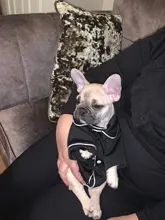 Puppy-Outfit Dogs-Costume Pet-French-Bulldog-Pajamas Chihuahua Fashion Small Medium Perro