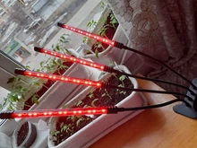 LED Grow Light USB Phyto Lamp Full Spectrum Grow Tent Complete Kit Phytolamp for Plants