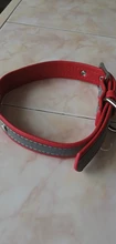 Collar de perros de piel sintética personalizado, reflectante, gato, grabado personalizado, etiqueta de identificación, grabado para cachorro, perros grandes, accesorios para mascotas