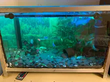 Aquarium-Lights Submersible Diving-Lighting Remote-Control-Lamp Waterproof LED RGB Amphibious