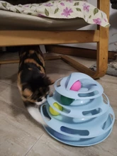 Ball Cat-Toys Play Cat Intelligence Tower-Tracks-Disc Training Amusement-Plate