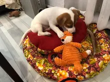 16 Animals Dog Chew Squeak Toys Giraffe Fleece Rope Interative Toy Plush Puppy Deer 