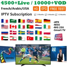 Лучший IPTV французский Арабский Английский Голландский Испанский Португальский для взрослых 18+ Фильмы VOD Live IPTV M3U Android АПК Смарт IPTV подписка