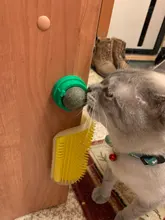 Natural Catnip Toys For Cats Crazy Healthy Cat Toys For Kitten Edible Treating Cleaning