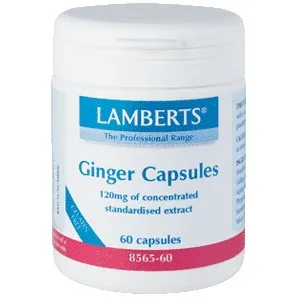 

GINGER 60 COMP (GINGER) LAMBERTS