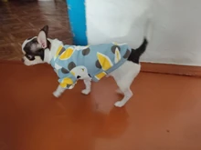 Traje para perros con estampado de animales, abrigo suave de algodón para mascotas, Jersey, camisa, chaqueta, suéter, ropa para mascotas