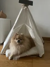 Tipi de Gato con cojín y pizarra para perros, carpa portátil para perros y casas de mascotas, tienda plegable de lona de madera para mascotas, cama para animales pequeños