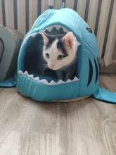 Puppy-House Dogs-Tent Shark Small Dog Large Pet-Product Cat Bed for High-Quality Cotton