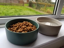 Bowl Feeder Water-Dispenser Dogs Ceramic for Puppy-Cat Eating Dishes Products -P007