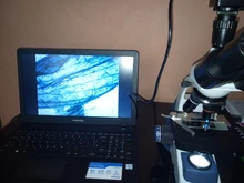 Microscope-Camera Trinocular Digital Electronic-Eyepiece CMOS 5MP USB HD for Free-Driver