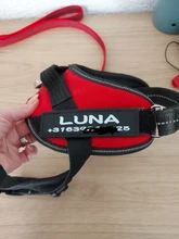 Etiqueta personalizada de Pu para arnés K9 para perro, etiqueta adhesiva con nombre para collar, 2 unidades