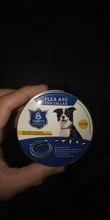 8 Month Flea Tick Collar For Dogs Cats collar Pet Adjustable Dog Collar for Small Dogs