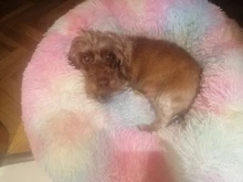 Cama redonda para gatos, nido de gato durmiendo cálido, felpa larga suave para canasta para perros, productos para mascotas, cojín, alfombrilla cama para mascotas, casa para gatos, animales, sofá