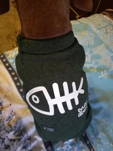 Perro de mascota gato Fishbone sudaderas con capucha ropa de invierno de algodón de ocio trajes de Jersey cachorro dos piernas suéter chaqueta para perros pequeños perros gatos