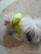 Jumpsuit Pet-Costumes Cotton-Padded Silver-Color Dogs Waterproof Winter Fashion for Hoodie