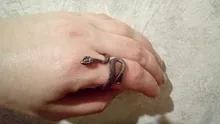 Anillo de serpiente Chapado en plata y Rattlesnake para hombre y mujer, Joyería Moderna de estilo Hip Hop, Punk, para fiesta y motocicleta