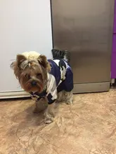 Coats Jacket French Bulldog Waterproof Pet-Dog Small-Dogs Chihuahua Winter Warm for Pets-Clothing