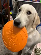 Platillo volador de silicona para perros y gatos, juguetes de discos voladores resistentes al agua para morder, adiestramiento de cachorros, suministros interactivos para perros, 1 unidad